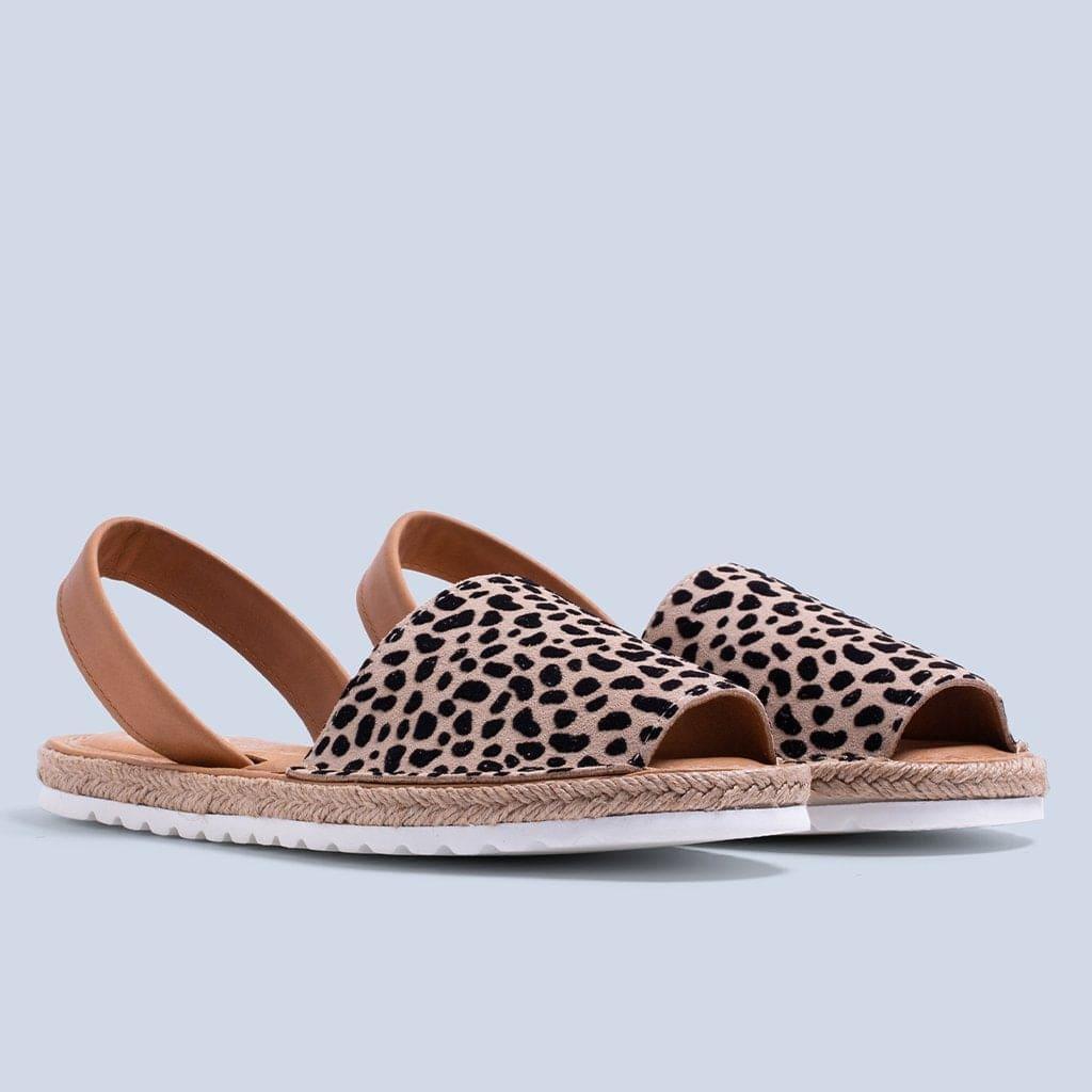 Sofi - Leopardo - MIAS